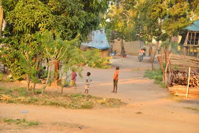 DSC_4276 (Large).JPG